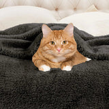 Fleece Plush Medium Weight Fluffy Soft Solid Decorative Blanket