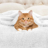 Fleece Plush Medium Weight Fluffy Soft Solid Decorative Blanket