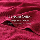 Egyptian Cotton Plush Absorbent Luxury Bath Towel Set of 4