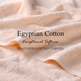 Heritage Egyptian Cotton Plush Absorbent Face Towel Washcloth Set of 10