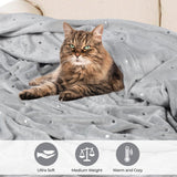 Fleece Plush Medium Weight Fluffy Soft Decorative Blanket Or Throw