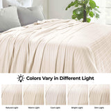 Clara Cotton Textured Jacquard Striped Lightweight Woven Blanket