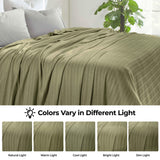 Clara Cotton Textured Jacquard Striped Lightweight Woven Blanket