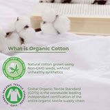 Gina Organic Cotton 300 Thread Count Percale Flat Bed Sheet