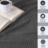 Jena Cotton Textured Chevron Lightweight Woven Blanket