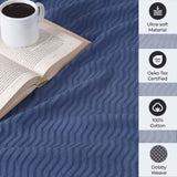 Jena Cotton Textured Chevron Lightweight Woven Blanket