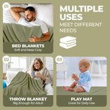 Jena Cotton Textured Chevron Lightweight Woven Blanket