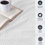 Jena Cotton Textured Chevron Lightweight Woven Blanket