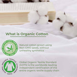 Organic Cotton 300 Thread Count Extra Deep Pocket Fitted Bed Sheet