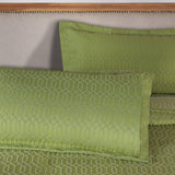 Remi Cotton Blend Jacquard Geometric Fringe Bedspread Set