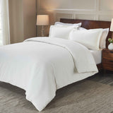 Rome Flannel Cotton Fuzzy Warm Solid Duvet Cover Set